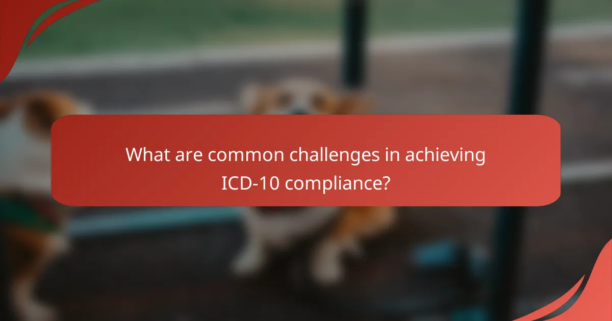 What are common challenges in achieving ICD-10 compliance?