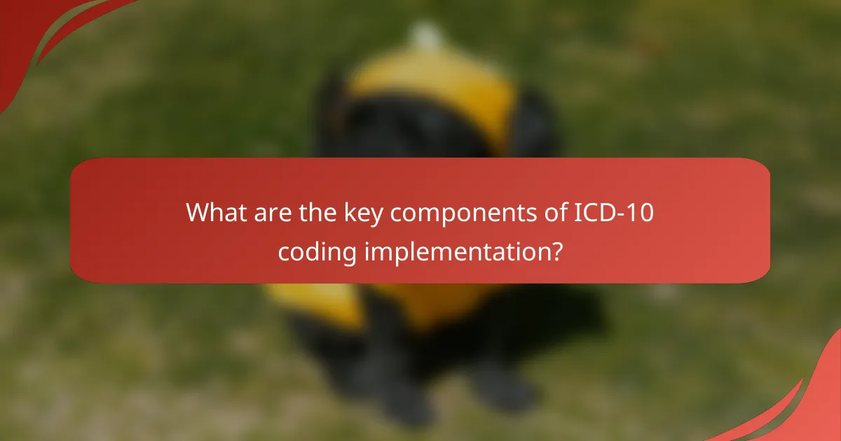 What are the key components of ICD-10 coding implementation?